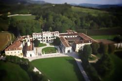 Dégustation de vin et visite guidée à Villa Mosconi Bertani à Vérone