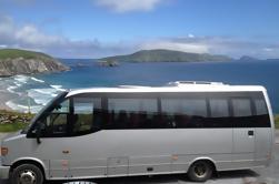 Private Guided Tour of Dingle Peninsula fra Tralee