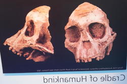 Cradle of Humankind e Maropeng Day Tour de Joanesburgo