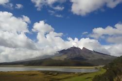 Cotopaxi Volcano Excursion fra Quito