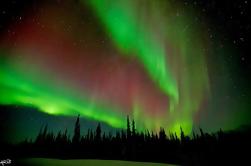 Northern Lights Lodge en los alrededores de Fairbanks