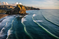 Excursión de medio día a la costa oeste salvaje de Auckland