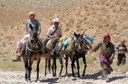 Private Tour: Middle Atlas excursie vanuit Fez