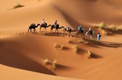 Tour privato: 2-Night Merzouga Desert Adventure