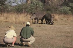 Safari de África do Sul para Grupos Pequenos de 14 dias a partir de Joanesburgo