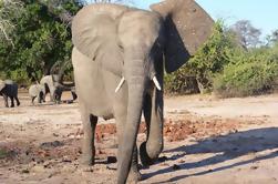 Delta de Pequenos Grupos de 12 Dias e Excursão de Canais de Chobe de Joanesburgo