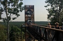 Dagtocht naar Anyksciai National Park