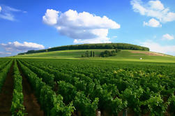 Full-Day Private Guided Tour of Champagne wih Hotel Pickup