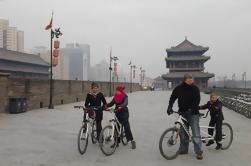 Excursión de un día a la ciudad de Xi'an