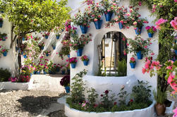 Cordoba Tour Durante Patios Festival