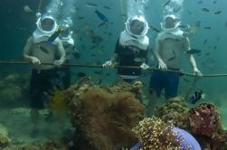 Underwater Observatory Aquarium e Mar Walking Adventure de Kota Kinabalu