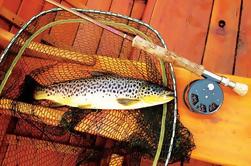 Excursión de un día de pesca con mosca de trucha marrón en el condado de Lough Corrib en Galway