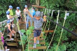 Roatan Zip Dip, Playas y Monkey Park