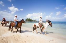 Tour combinado de Roatán: Paseo a caballo de la selva y salto de la playa