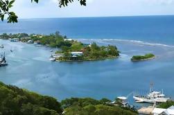 Roatan Private Tour: Shoppen, Bezichtiging en Beach Tour