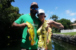 Peacock Bass Half Day Fishing Trip cerca de Palm Beach