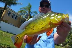 Peacock Bass All Day Fishing Trip de buurt van Palm Beach