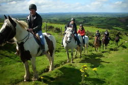 Excursión de dos horas a pie de montaña en Tipperary