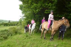 Paseo escénico de una hora a caballo por pastos de montaña intacta en Tipperary