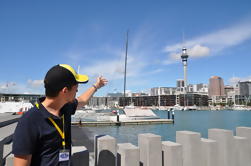 Auckland City Destaques passeio a pé