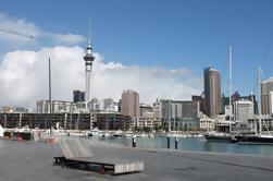 Auckland Downtown and Waterfront Walking Tour