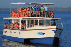 Cruceros de Observación de Ballenas desde Galle