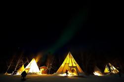 Yellowknife Northern Lights Viewing Tour Including 3-Nights Accommodation