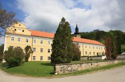 Excursão de um dia privado: Mosteiros Fruska Gora e Sremski Karlovci