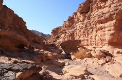 Safari de un día en Jeep de Dahab