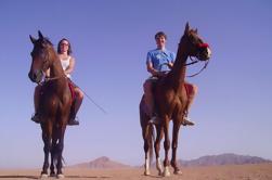 Paardrijden in Dahab