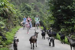 Bahía de Halong-Lan Ha Bay de 3 días y Tour de la Isla de Cat Ba