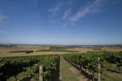 Yarra Valley Winery Tour von Melbourne Einschließlich Lunch und Local Guide