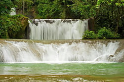 Cataratas YS privadas y Safari de Río de Montego Bay