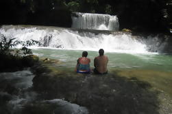 YS Falls y Black River Safari de Montego Bay