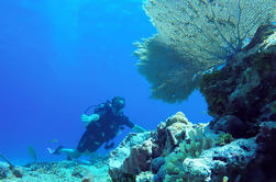 Dive and Drive Cozumel Aventura desde Cancún