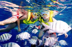 Cozumel Scenic Drive e Snorkeling da Playa