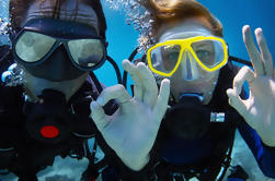 Cozumel Dive e Drive Tour con Ferry giro