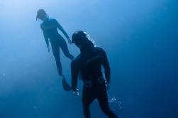 Descubre el programa Freediving en Punta Mita