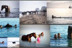 Nadar com um cavalo em Kalamata