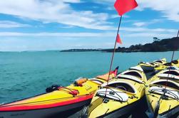 Excursão Kayaking do console de Rangitoto da ilha de Auckland