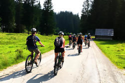 Lago Bohinj de Bled: Excursión en bicicleta autoguiada