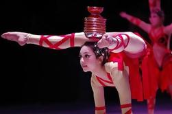 Beijing Night Acrobatic Show