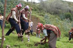 Amaru Community bezoeken, waaronder Weaving Workshop