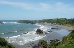 Insel Chiloe und die Pinguine von Puñihuil von Puerto Varas