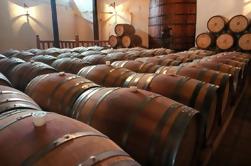 Aquitania and Concha y Toro Wineries Full-Day Tour