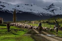 Viagem de um dia para a Estância Nibepo Aike de El Calafate