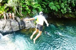 Excursión a la costa de Suva: excursión a la cascada de Waiyanitu y excursión al pueblo de Fiji con almuerzo buffet