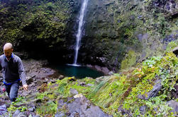 Madeira Levada Walk - Caldeirao Verde