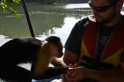 Océano a Océano Excursión al Canal de Panamá y la Selva