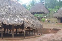 Océano a Océano Excursión al Canal de Panamá y la Selva